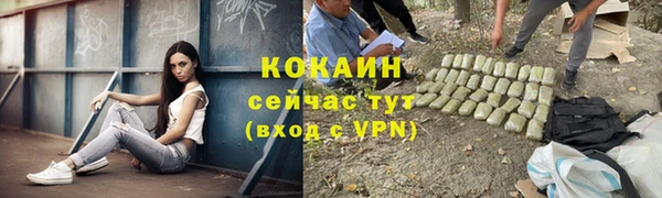 крисы Аркадак